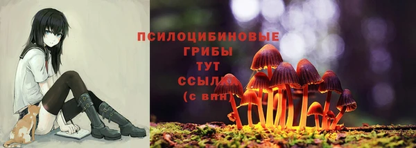 тгк Нефтекумск