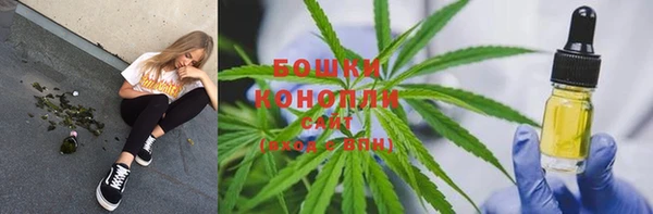 прущие грибы Абдулино