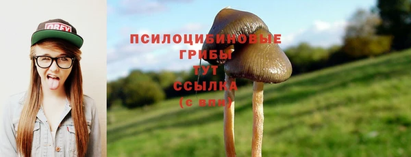 соль ск Абинск