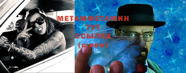 прущие грибы Абдулино