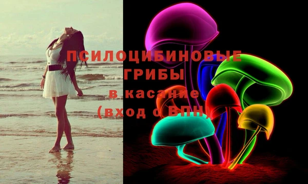 прущие грибы Абдулино